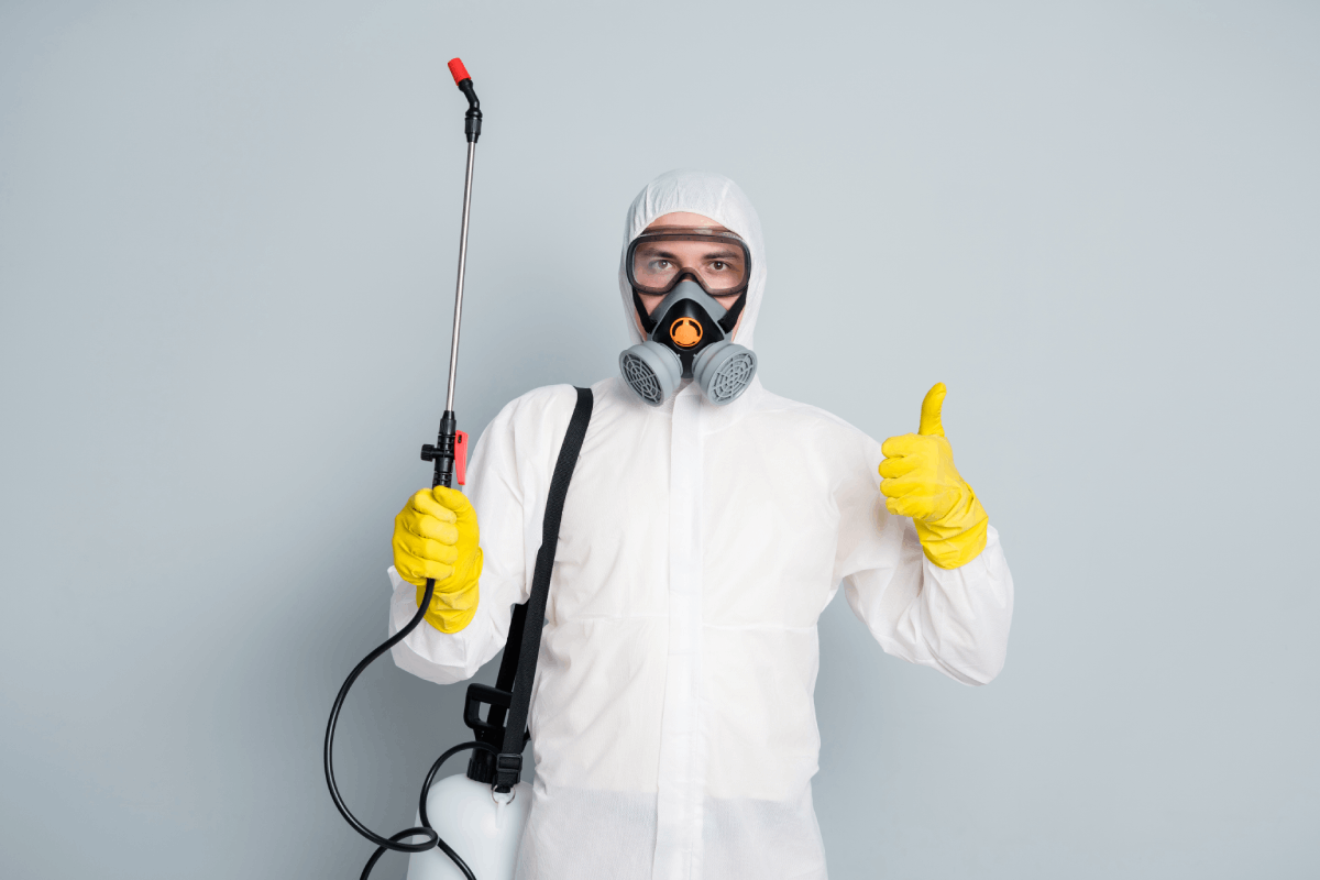 Real Client Stories Highlighted in Hawx Pest Control Reviews